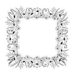 Doodle style wild flowers and herbs. Hand drawn elements. decorative herbal frame isolated on white background.