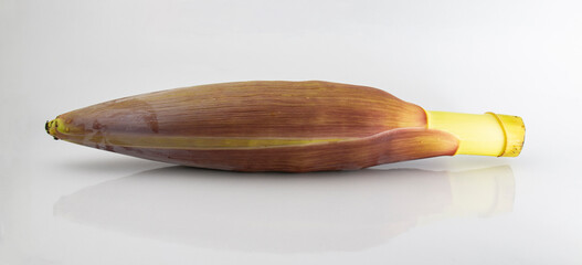 young Banana flower, Banana blossom isolated on studio table.