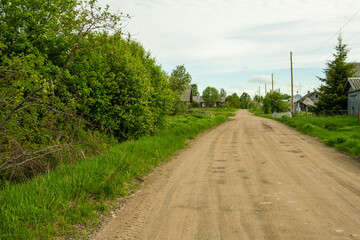 Landscape with a field and trees. Green vegetation on a spring day. Karelia. Russia.