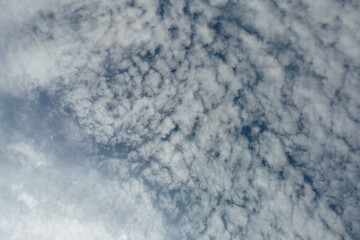 fluffy cirrocumulus white clouds against the blue summer sky. Bottom up view.