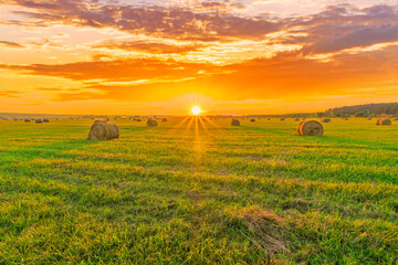 Scenic view at beautiful sunset in a green shiny field in village farm with hay stacks, cloudy sky, golden sun rays, anazing summer valley evening landscape