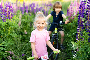 brother and sister in a field with flowers lupins, happy children in the summer in nature smile