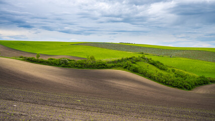 Fototapeta premium Wavy agricultural field of Moravian Tuscany. Czech Repulbic