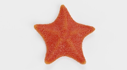 Realistic 3D Render of Bat Starfish