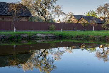 reflection in the water