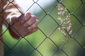 An elderly woman's hand holds the mesh of an iron fence. The old man is locked up and cannot get...