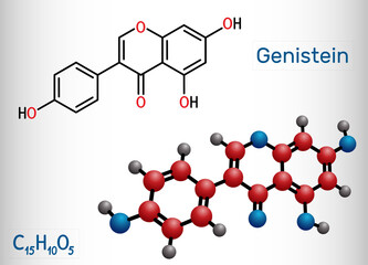 Genistein molecule. It is phytoestrogen, plant metabolite, isoflavone extract from soy with antioxidant and phytoestrogenic properties. Structural chemical formula and molecule model