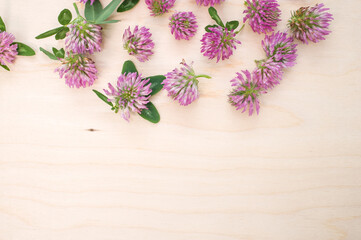 Top view of fresh red clover flowers on a wooden surface
