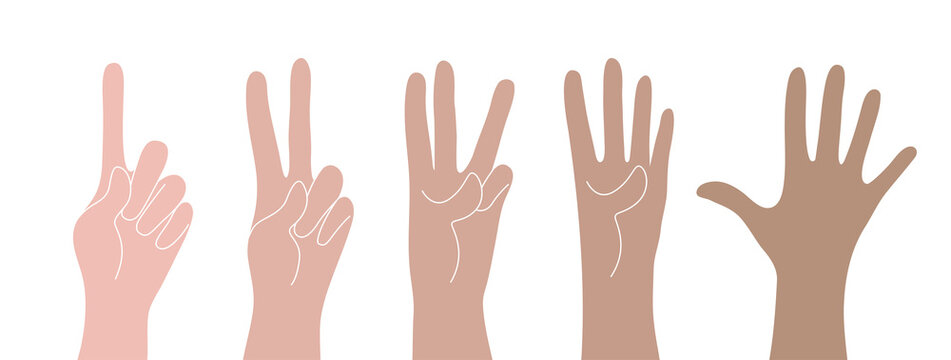 Counting fingers on white background. Vector set of hands with counts on the fingers from one to five.