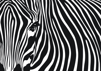 Zebra stripes background, Black and white abstract pattern design, Vector illustration