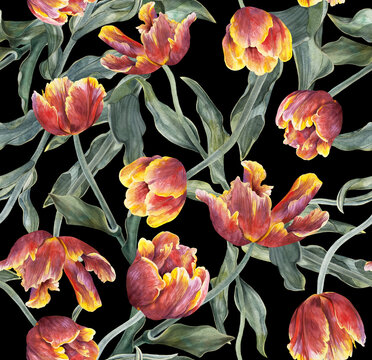 Watercolor tulips. Seamless floral pattern. Background with flowers © Арина Трапезникова