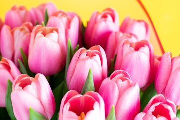 Naklejka premium Fresh tulips. Pink tulips in a vase