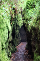 Drachenschlucht gorge in Eisenach Thuringia