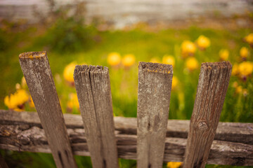 Closeup old picket fence in rural garden