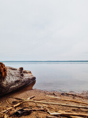 Scenic view of a lake in a forest with calm water on a cloudy day.