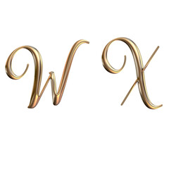 3d alphabet, golden letter W X