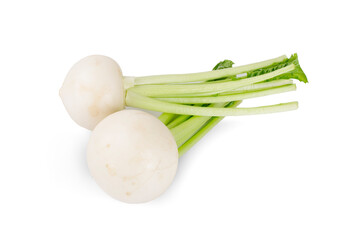 Fresh turnip white background