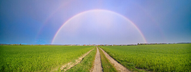 Panorama of a green field with a dirt road and a rainbow in the sky. Summer rural landscape with...