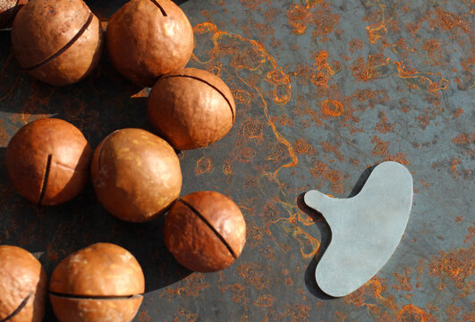macadamia nuts in shells on a metal background with a key