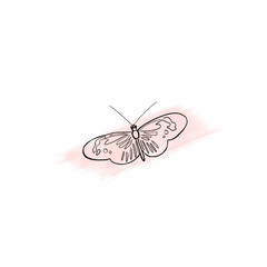 Butterfly on a white background in a minimal style