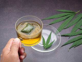 Hand holding a teacup of hemp tea and marijuana leaves laid on a gray background. Cannabis herbal tea. Close-up photo. Selective focus. Relaxation concept