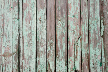 Fototapeta premium Оld fence with peeling paint. Grange texture background.