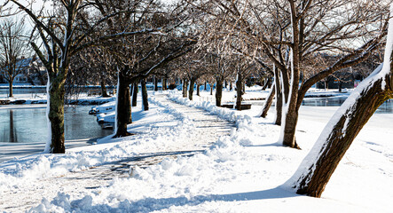 Morning after snow storm with glistning trees and a shoveled walkway between two lakes at Argyle Park Babylon
