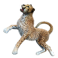 3D Rendering Big Cat Cheetah on White