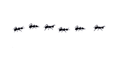  Ants walking icon set