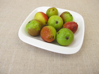 Apple fruits from the sorb tree, Sorbus domestica
