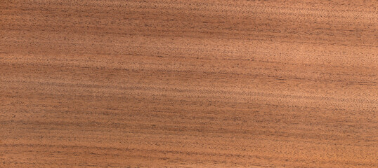 detail of a natural wood texture