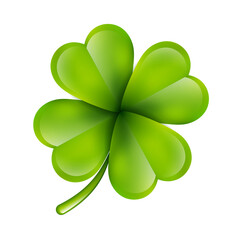 Realistic green leaf clover on white background Vector