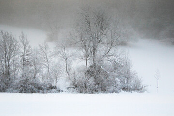Obraz na płótnie Canvas hidden cottage in a winter lanscape