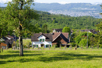 Fototapeta na wymiar Panorama view from hill at City of Zurich over canton Zurich at springtime. Photo taken May 28th, 2021, Zurich, Switzerland.