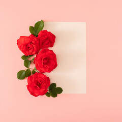 gardening fresh red roses with white paper on the pastel pink background. summer tropical background. minimal flat lay with copy space