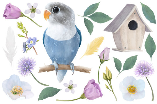 Cute blue masked lovebird with birdhouse, pink and white flowers and green leaves. Adorable floral set. Botanical illustration.