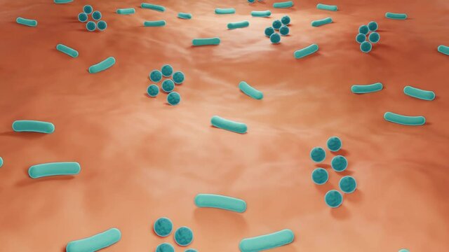 Skin microbiome, Bacteria on the skin close-up