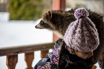 beautiful girl in a purple suit in the snow plays with a raccoon 