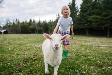 Canada, Ontario, Kingston, Boy with lamb in field