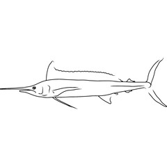 Obraz premium Longbill Spearfish Hand sketched, hand drawn vector clipart