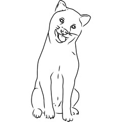Shiba Inu Hand sketched, hand drawn vector clipart