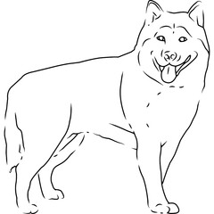 Siberian Husky Hand sketched, hand drawn vector clipart