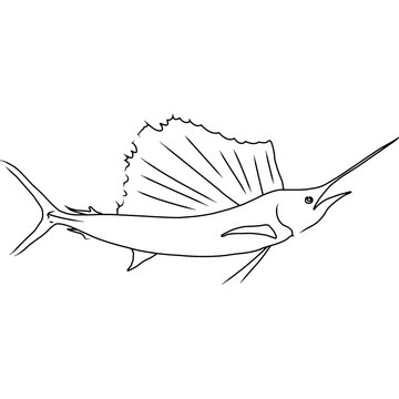 recommend clip art: Sailfish Hand sketched, hand drawn vector clipart