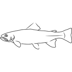 Fototapeta premium Trout Hand sketched, hand drawn vector clipart