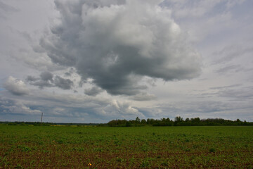 An expressive cloud on a beautiful cloudy sky over an agricultural field with green plantings and forest islands.