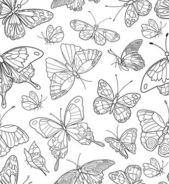 Butterfly line art seamless pattern. Flying butterflies on whiite background. Hand drawn vector illustration