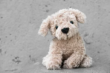 Fotobehang Funny cute plush dog on a grey background © brankospejs