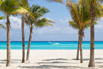 Obraz na płótnie Canvas A beautiful beach with white sand, turquoise sea, and palm trees. Paradise beach