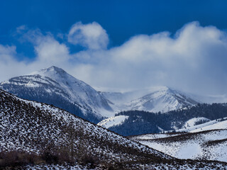 Fototapeta na wymiar Wonderful Scene along the Highway395, Snow capped mountain