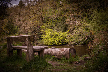 Obraz premium Riverside bench